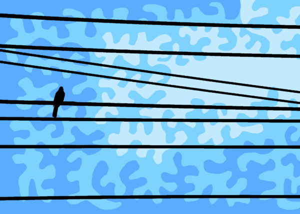 On a Wire - Digital Download