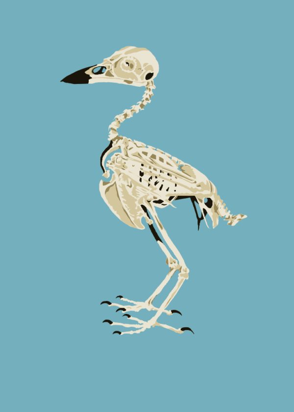Full Skeleton - Digital Download