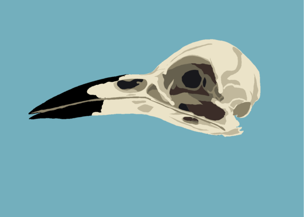 Side Skull - Digital Download